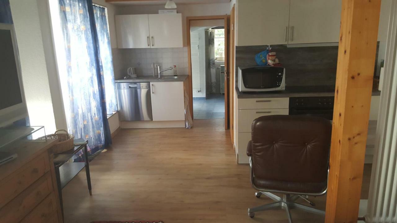 Appartement Sonnenschein Wehr à Wehr  Extérieur photo